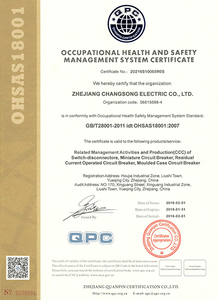 OCCUOATIONAL HEALTH AND SAFETY MANAGEMENT SYSTEM CERTIFICATE